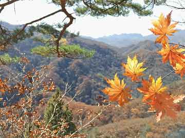 强风天气致伦敦希思罗机场约百架次航班被取消|界面新闻 · 快讯